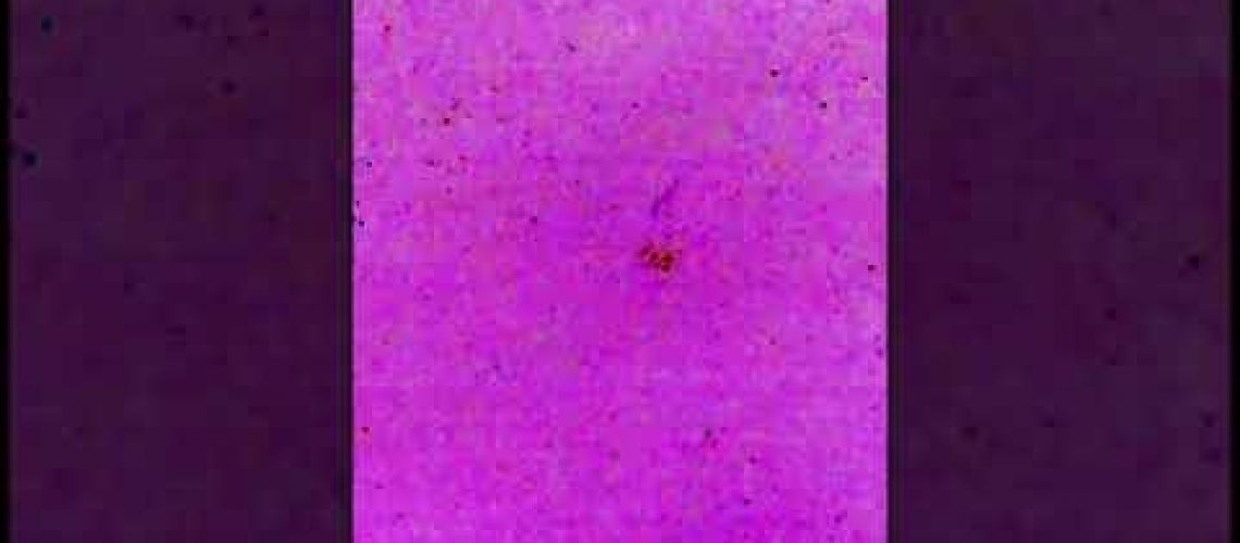1771105478_hqdefault.jpg