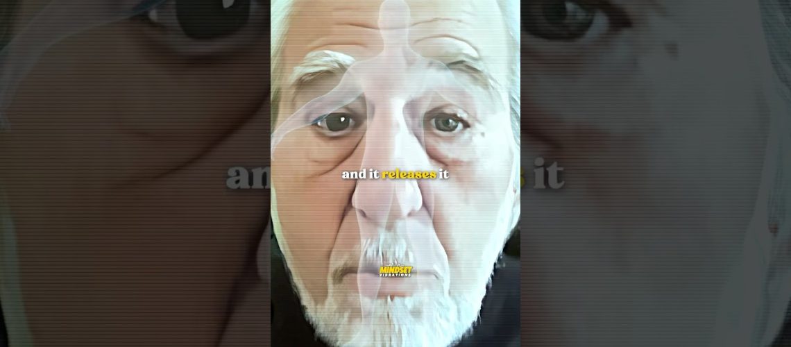 1771829418_maxresdefault.jpg
