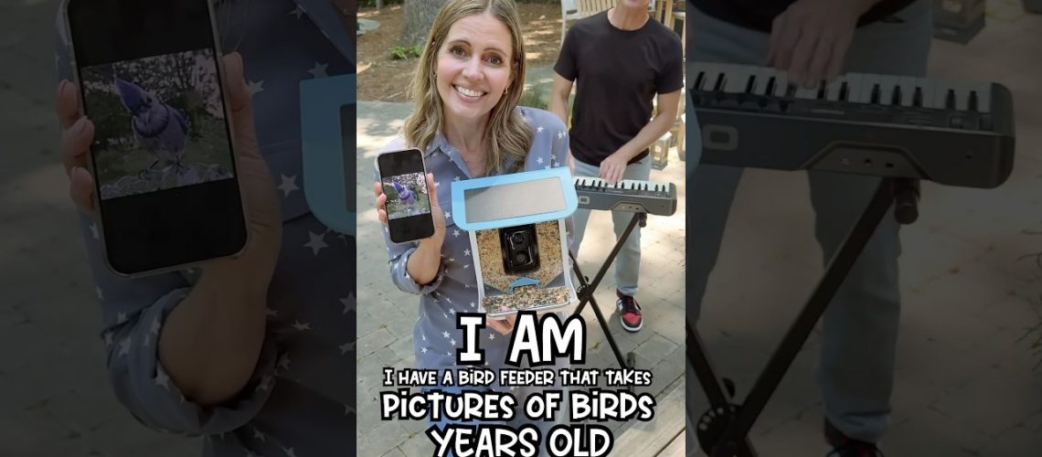 1771475254_maxresdefault.jpg