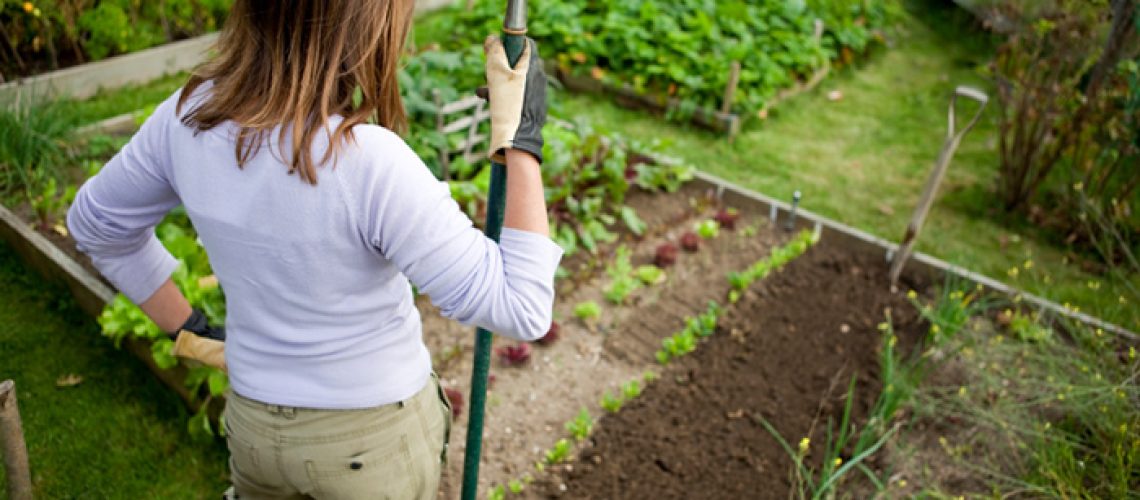 Woman-Proud-Home-Garden-Vegetables-Soil.jpg